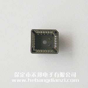 PLCC32��