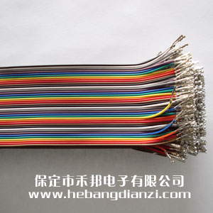 2.54�Ű40cm