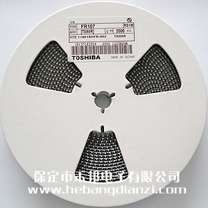 RS1M(�NʽFR107)