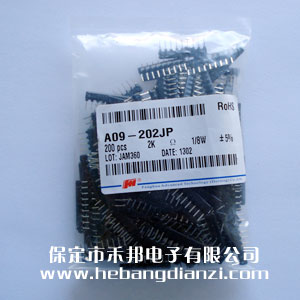 A09-202 9�_ 2K