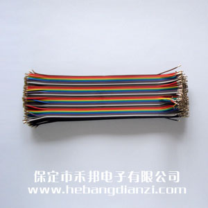 2.0�Ű20cm