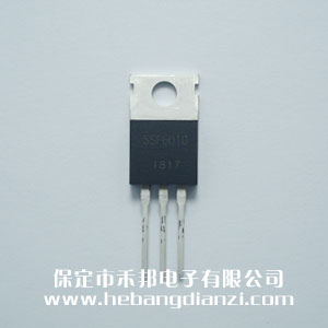 SSF6010 �_�a