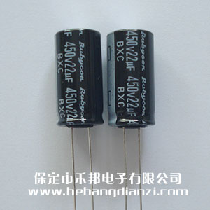 �M(j��n)��늽�450V-22uF